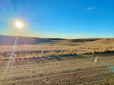 Montana Wheat Farm, Tillable Acres in Production For Sale - image 15