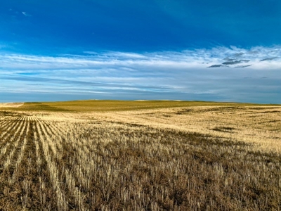Montana Wheat Farm, Tillable Acres in Production For Sale - image 7