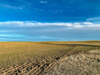 Montana Wheat Farm, Tillable Acres in Production For Sale - image 19