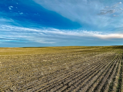Montana Wheat Farm, Tillable Acres in Production For Sale - image 13