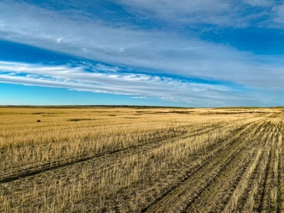 Montana Wheat Farm, Tillable Acres in Production For Sale - image 17