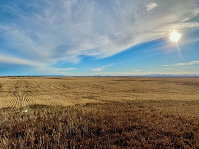 Montana Wheat Farm, Tillable Acres in Production For Sale - image 18
