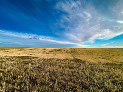Montana Wheat Farm, Tillable Acres in Production For Sale - image 10