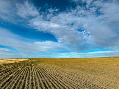Montana Wheat Farm, Tillable Acres in Production For Sale - image 11