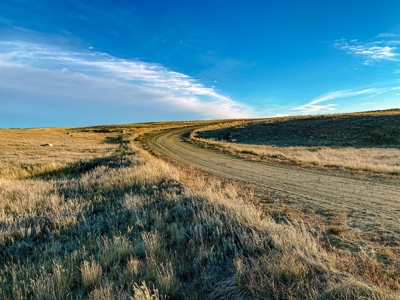 Montana Wheat Farm, Tillable Acres in Production For Sale - image 14