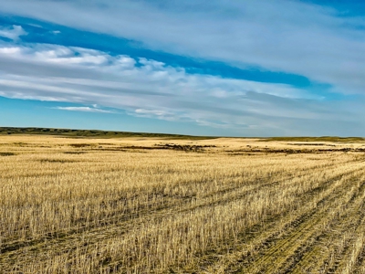 Montana Wheat Farm, Tillable Acres in Production For Sale - image 4