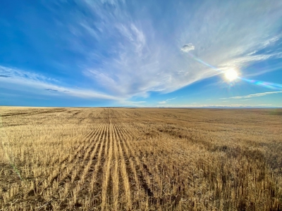 Montana Wheat Farm, Tillable Acres in Production For Sale - image 12