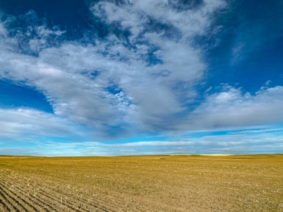 Montana Wheat Farm, Tillable Acres in Production For Sale - image 8