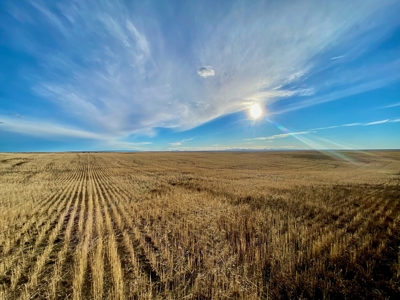 Montana Wheat Farm, Tillable Acres in Production For Sale - image 2