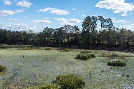 Recreational Cattle Ranch - Sabine River for Sale Hawkins TX - image 27