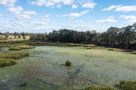Recreational Cattle Ranch - Sabine River for Sale Hawkins TX - image 15