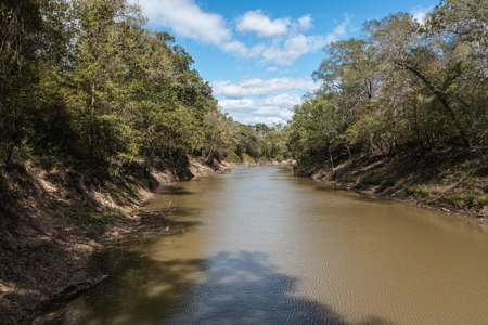 Recreational Cattle Ranch - Sabine River for Sale Hawkins TX - image 1