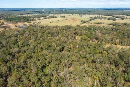 Recreational Cattle Ranch - Sabine River for Sale Hawkins TX - image 22