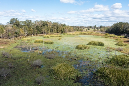 Recreational Cattle Ranch - Sabine River for Sale Hawkins TX - image 24