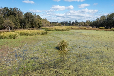 Recreational Cattle Ranch - Sabine River for Sale Hawkins TX - image 23