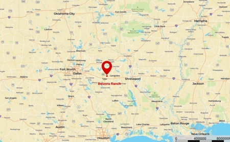 Recreational Cattle Ranch - Sabine River for Sale Hawkins TX - image 31