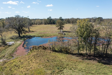 Recreational Cattle Ranch - Sabine River for Sale Hawkins TX - image 3