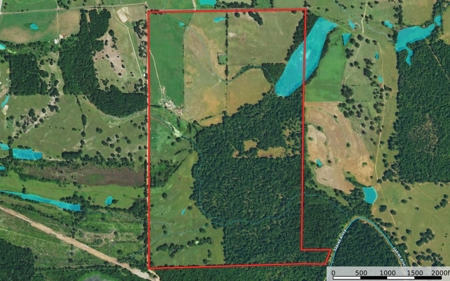 Recreational Cattle Ranch - Sabine River for Sale Hawkins TX - image 28