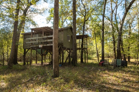 Recreational Cattle Ranch - Sabine River for Sale Hawkins TX - image 13