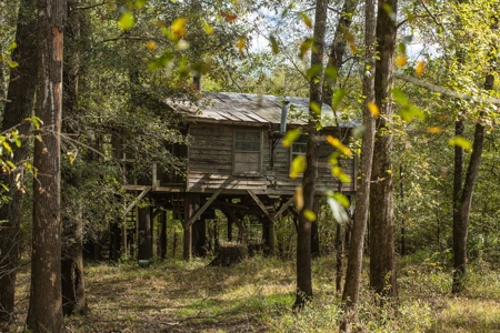 Recreational Cattle Ranch - Sabine River for Sale Hawkins TX - image 11