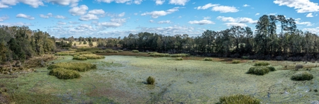 Recreational Cattle Ranch - Sabine River for Sale Hawkins TX - image 16