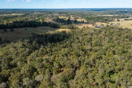 Recreational Cattle Ranch - Sabine River for Sale Hawkins TX - image 21