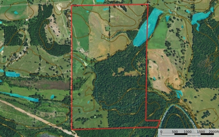 Recreational Cattle Ranch - Sabine River for Sale Hawkins TX - image 29