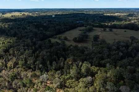 Recreational Cattle Ranch - Sabine River for Sale Hawkins TX - image 18