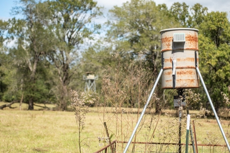 Recreational Cattle Ranch - Sabine River for Sale Hawkins TX - image 10