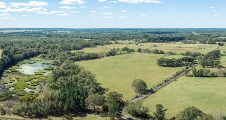 Recreational Cattle Ranch - Sabine River for Sale Hawkins TX - image 25