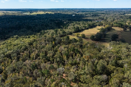 Recreational Cattle Ranch - Sabine River for Sale Hawkins TX - image 19