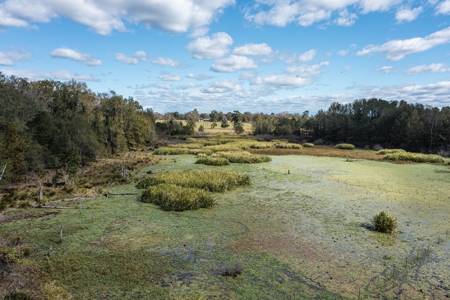 Recreational Cattle Ranch - Sabine River for Sale Hawkins TX - image 26