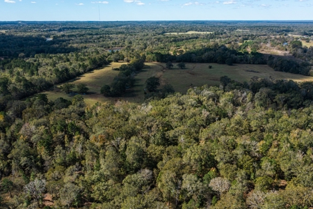 Recreational Cattle Ranch - Sabine River for Sale Hawkins TX - image 20