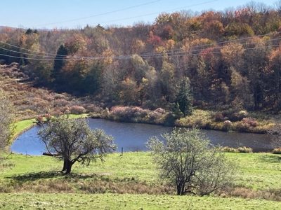 Barn For Sale - image 3