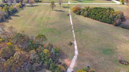 Vacant Land, Mixture of Valley Land & Woods in West Plains - image 9