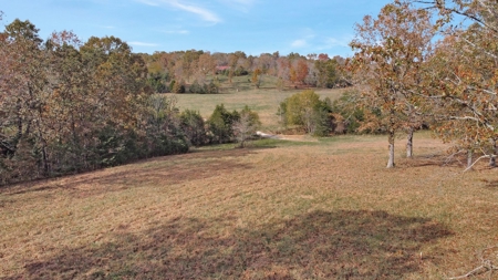 Vacant Land, Mixture of Valley Land & Woods in West Plains - image 20