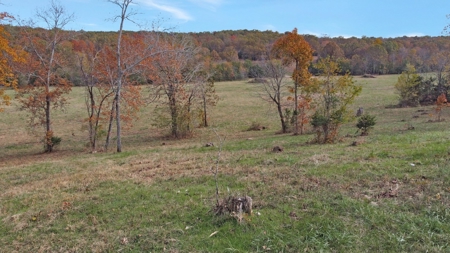 Vacant Land, Mixture of Valley Land & Woods in West Plains - image 22