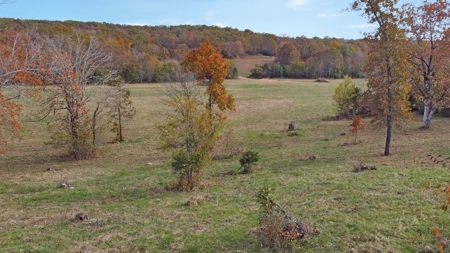 Vacant Land, Mixture of Valley Land & Woods in West Plains - image 23