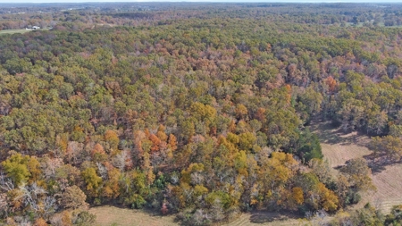 Vacant Land, Mixture of Valley Land & Woods in West Plains - image 15