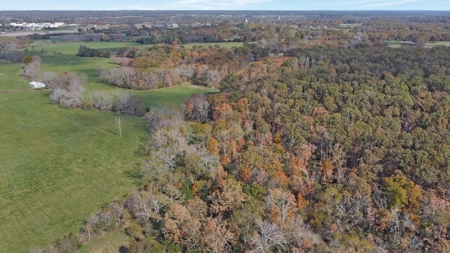 Vacant Land, Mixture of Valley Land & Woods in West Plains - image 14