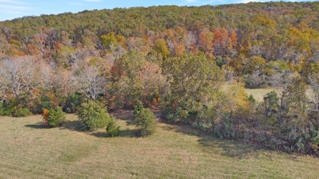 Vacant Land, Mixture of Valley Land & Woods in West Plains - image 12