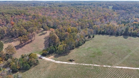 Vacant Land, Mixture of Valley Land & Woods in West Plains - image 7