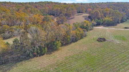 Vacant Land, Mixture of Valley Land & Woods in West Plains - image 11