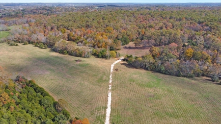 Vacant Land, Mixture of Valley Land & Woods in West Plains - image 4