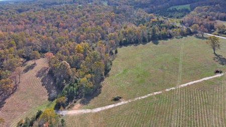 Vacant Land, Mixture of Valley Land & Woods in West Plains - image 16