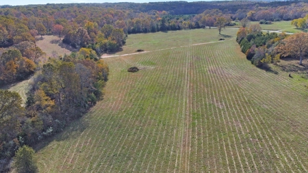 Vacant Land, Mixture of Valley Land & Woods in West Plains - image 1