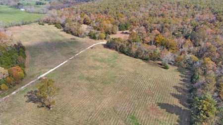 Vacant Land, Mixture of Valley Land & Woods in West Plains - image 5