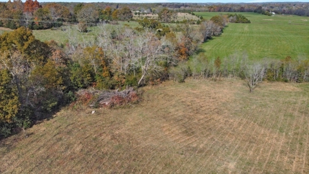 Vacant Land, Mixture of Valley Land & Woods in West Plains - image 13