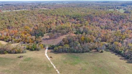 Vacant Land, Mixture of Valley Land & Woods in West Plains - image 3