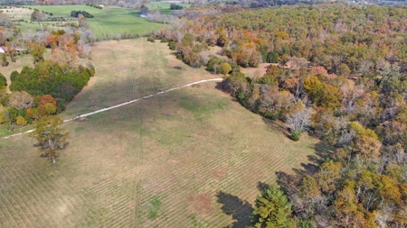 Vacant Land, Mixture of Valley Land & Woods in West Plains - image 6